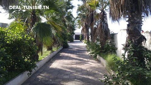 Image Annonce Deal-tunisie