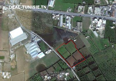 deal tunisie annonce