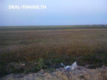 deal tunisie annonce