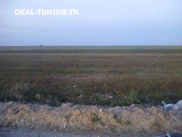 Image Annonce Deal-tunisie