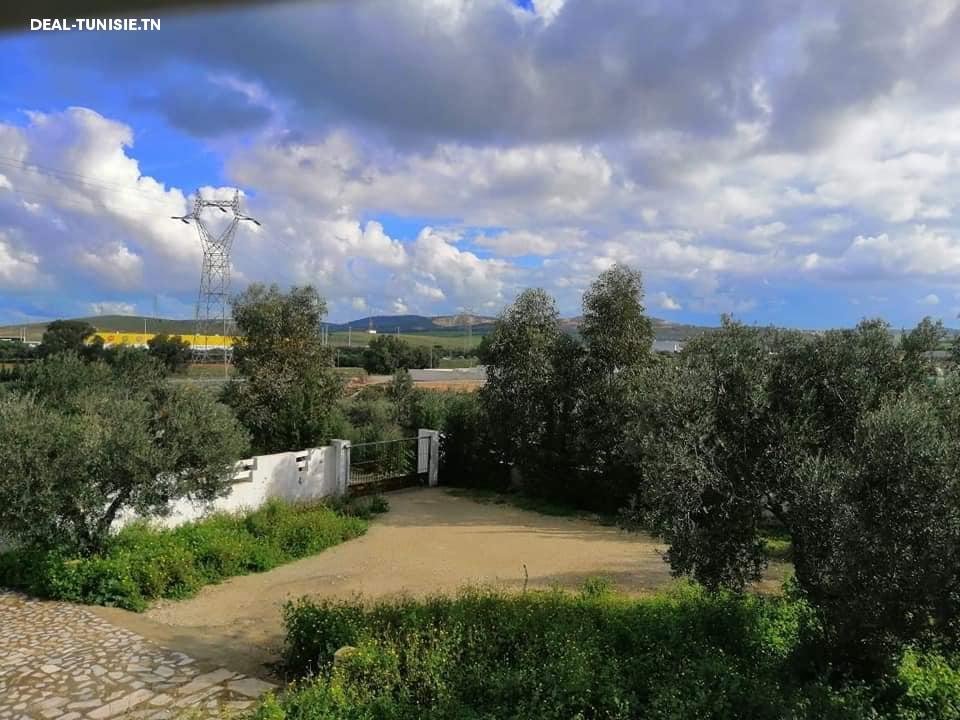 Image Annonce Deal-tunisie