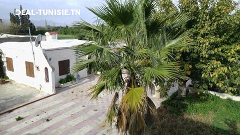 Image Annonce Deal-tunisie