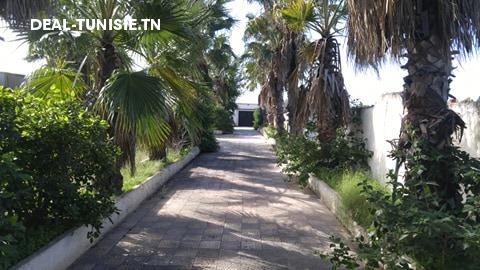 Image Annonce Deal-tunisie