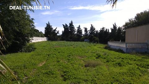 deal tunisie annonce