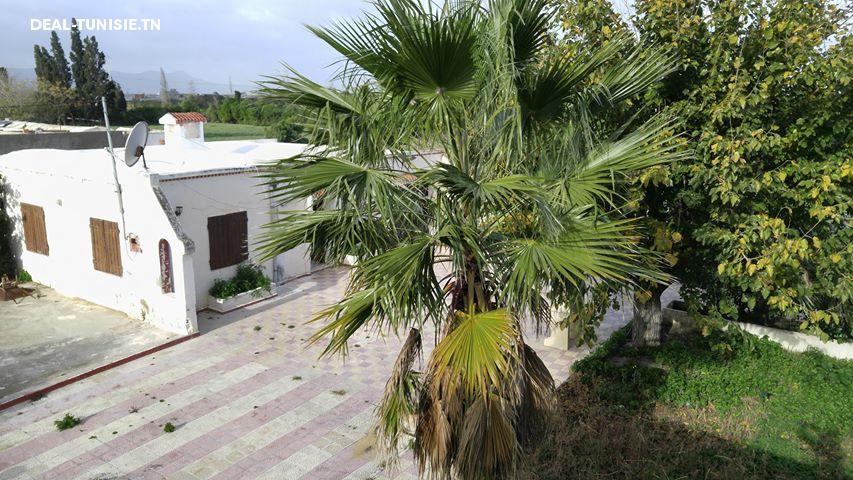 Image Annonce Deal-tunisie