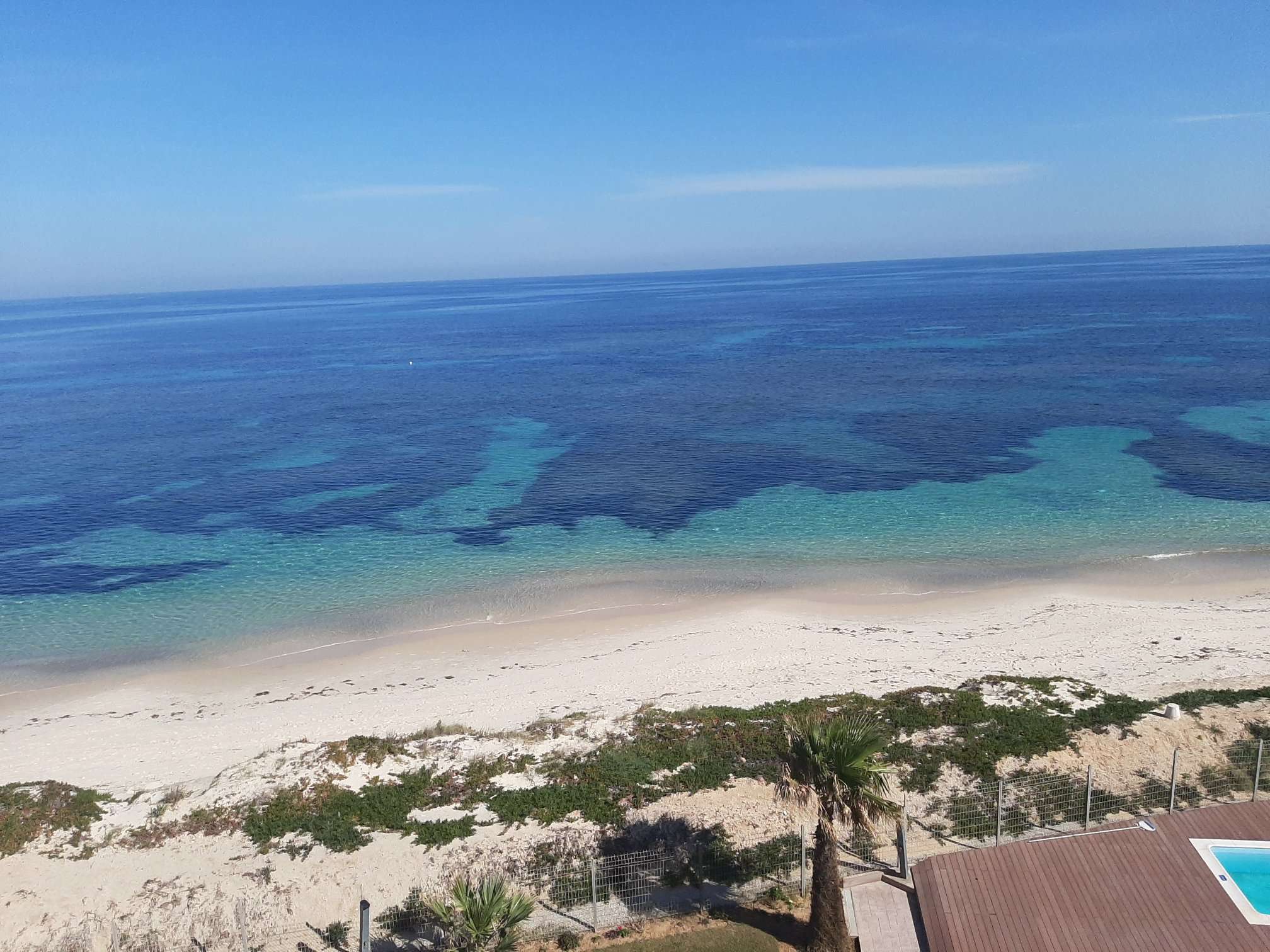 deal tunisie annonce