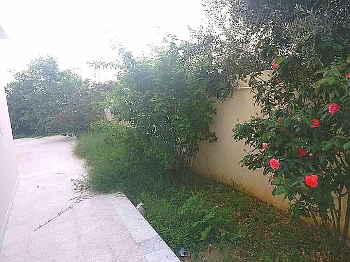 Image Annonce Deal-tunisie
