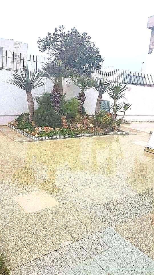 Image Annonce Deal-tunisie