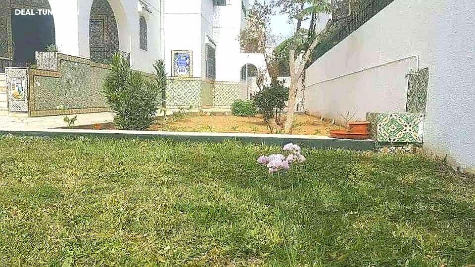 Image Annonce Deal-tunisie