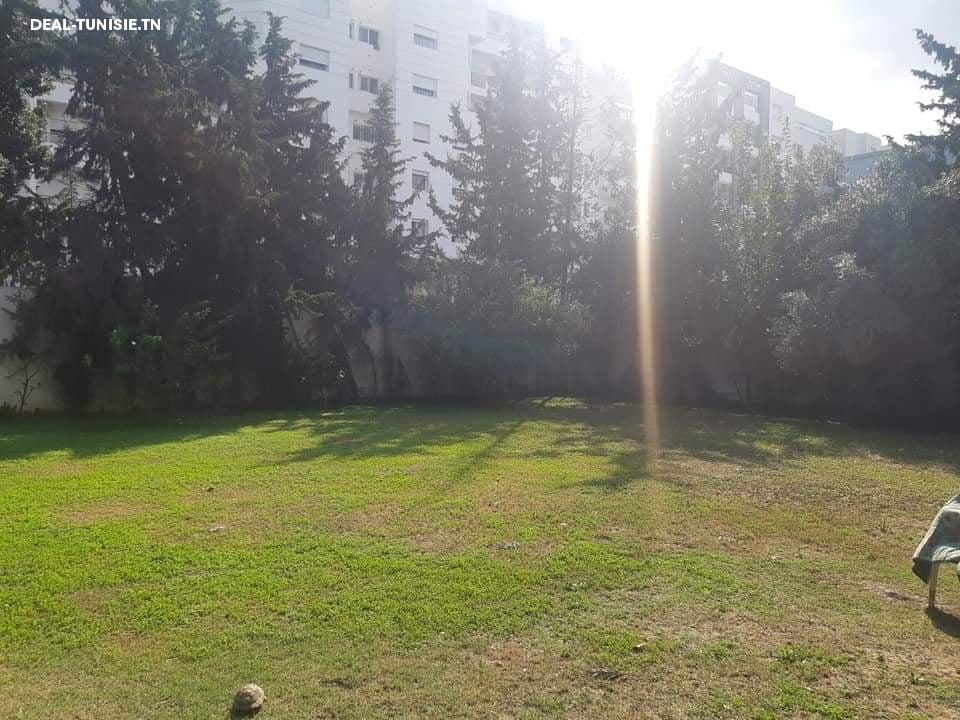 deal tunisie annonce