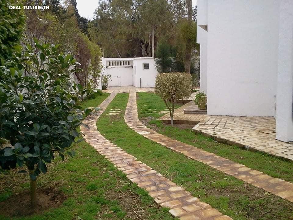 Image Annonce Deal-tunisie