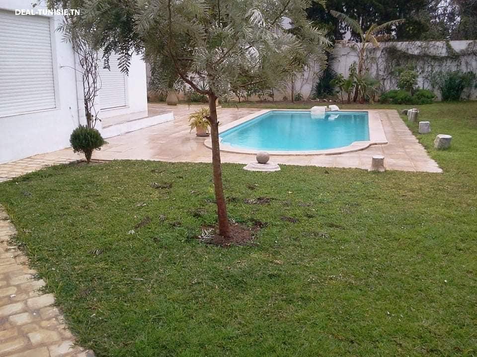 Image Annonce Deal-tunisie