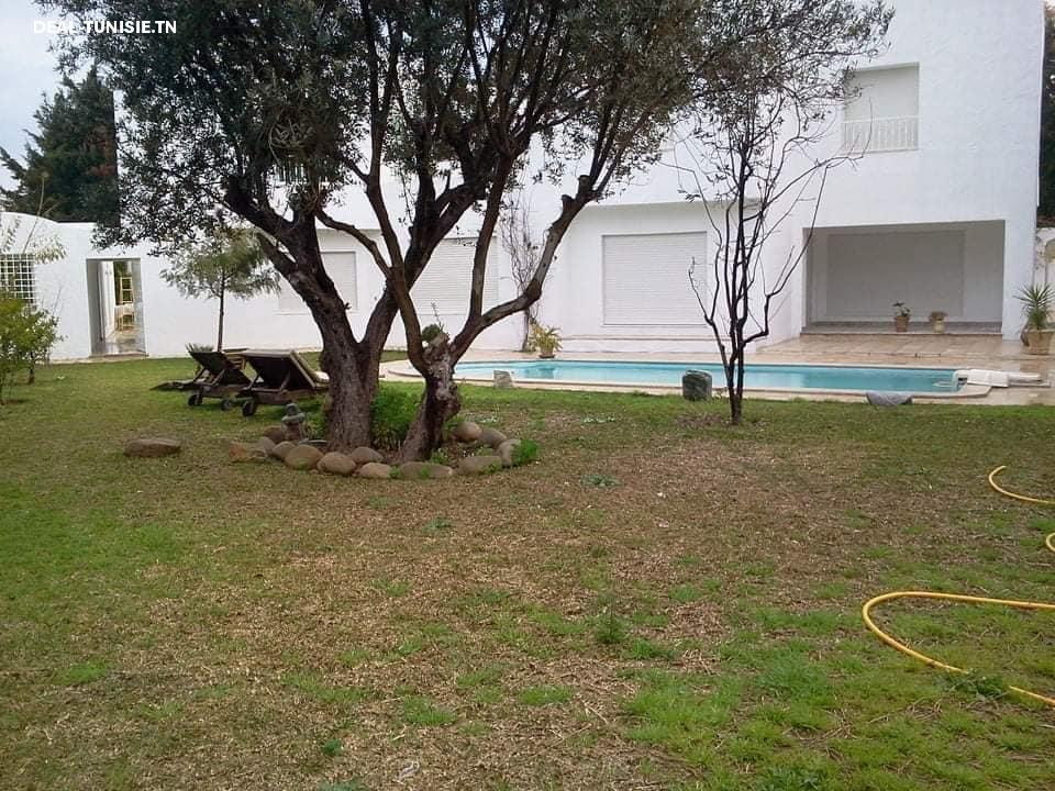 Image Annonce Deal-tunisie