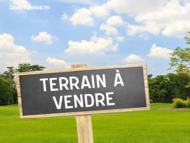 deal tunisie annonce