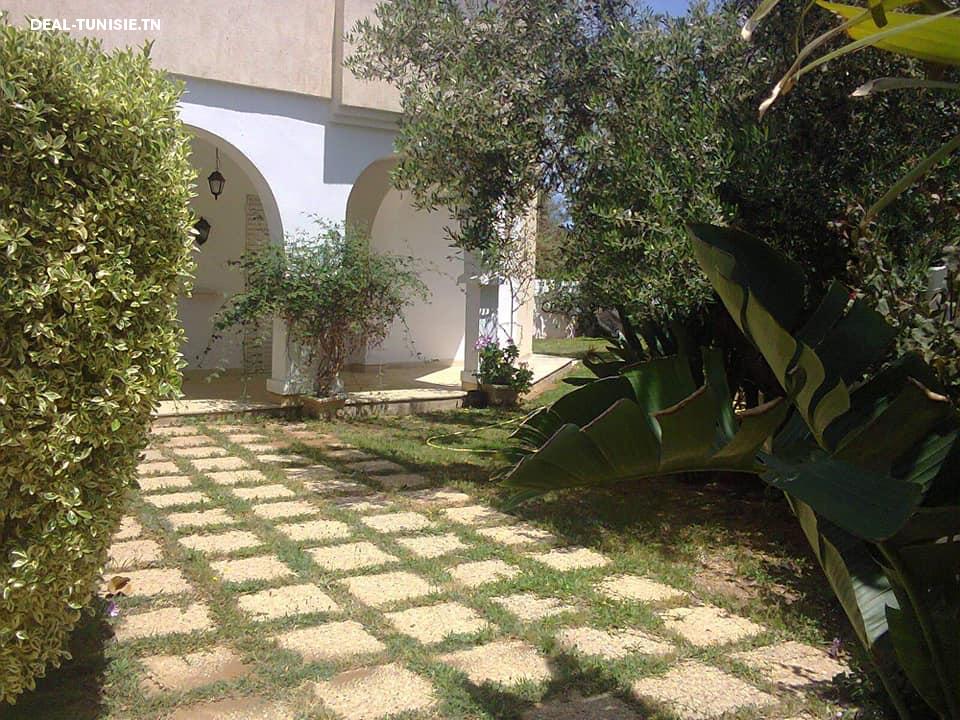 Image Annonce Deal-tunisie