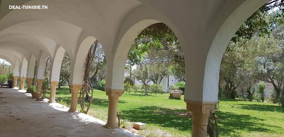 Image Annonce Deal-tunisie