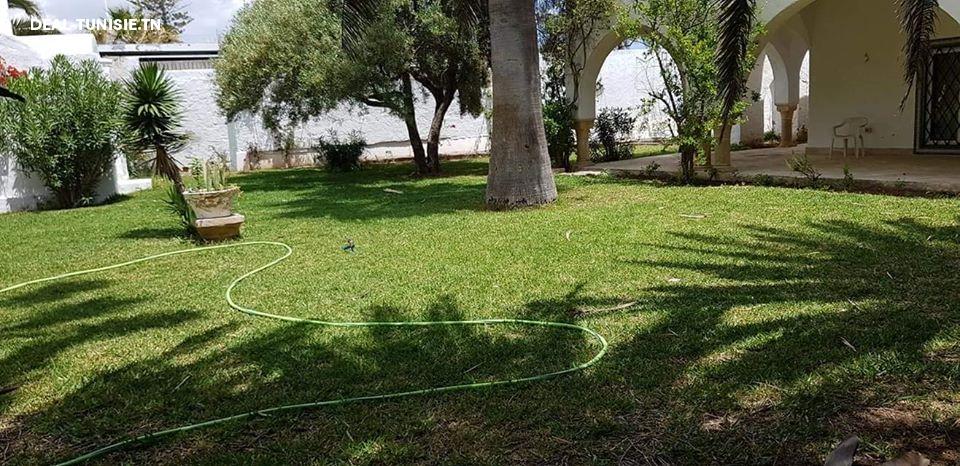 Image Annonce Deal-tunisie