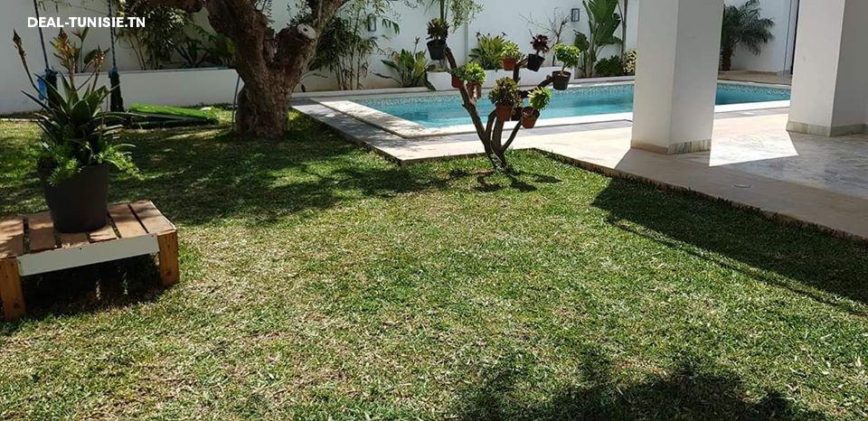 Image Annonce Deal-tunisie