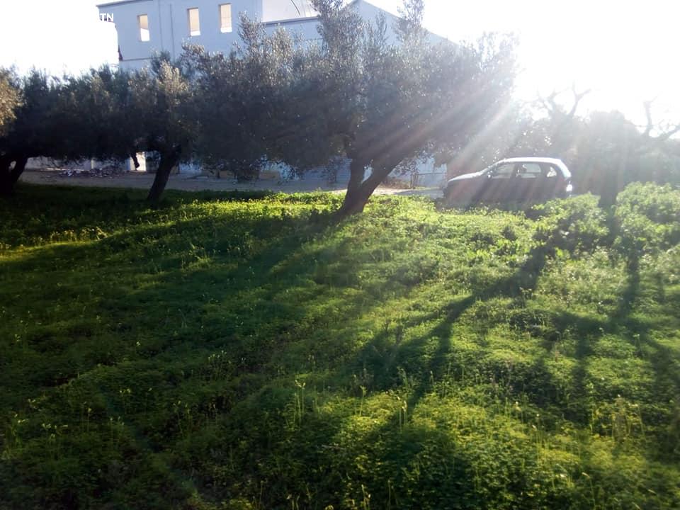 Image Annonce Deal-tunisie