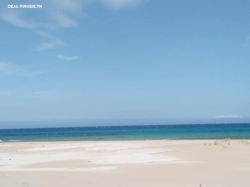 deal tunisie annonce