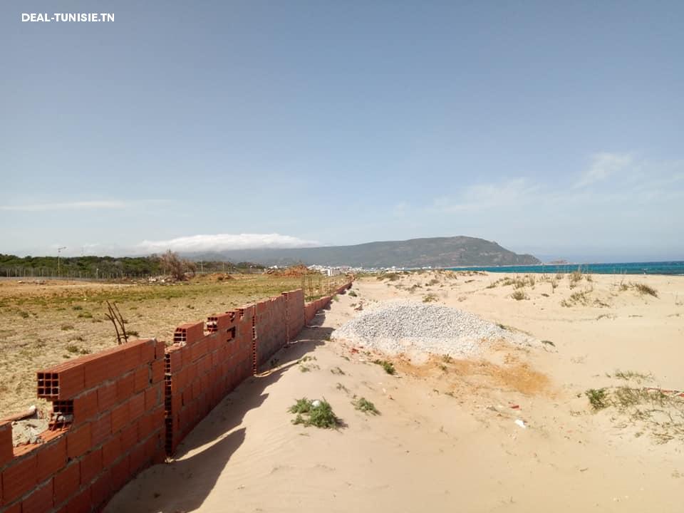 Image Annonce Deal-tunisie