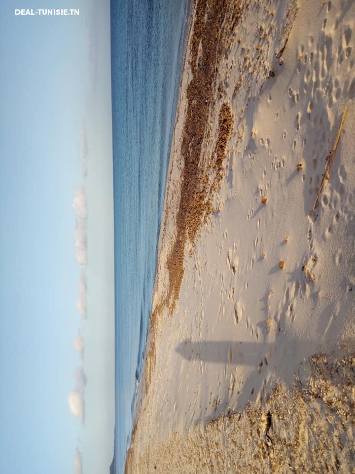 Image Annonce Deal-tunisie