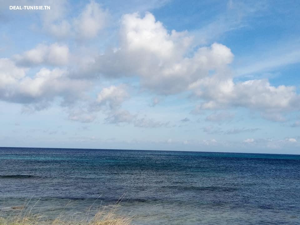 Image Annonce Deal-tunisie
