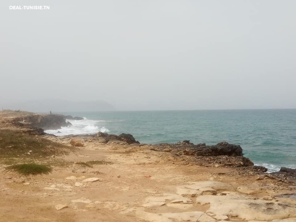 deal tunisie annonce