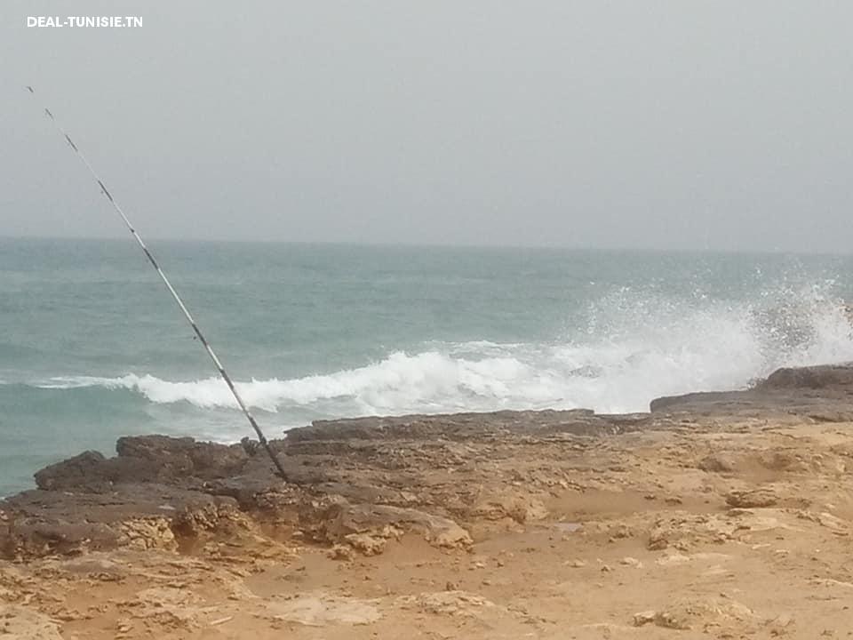 Image Annonce Deal-tunisie