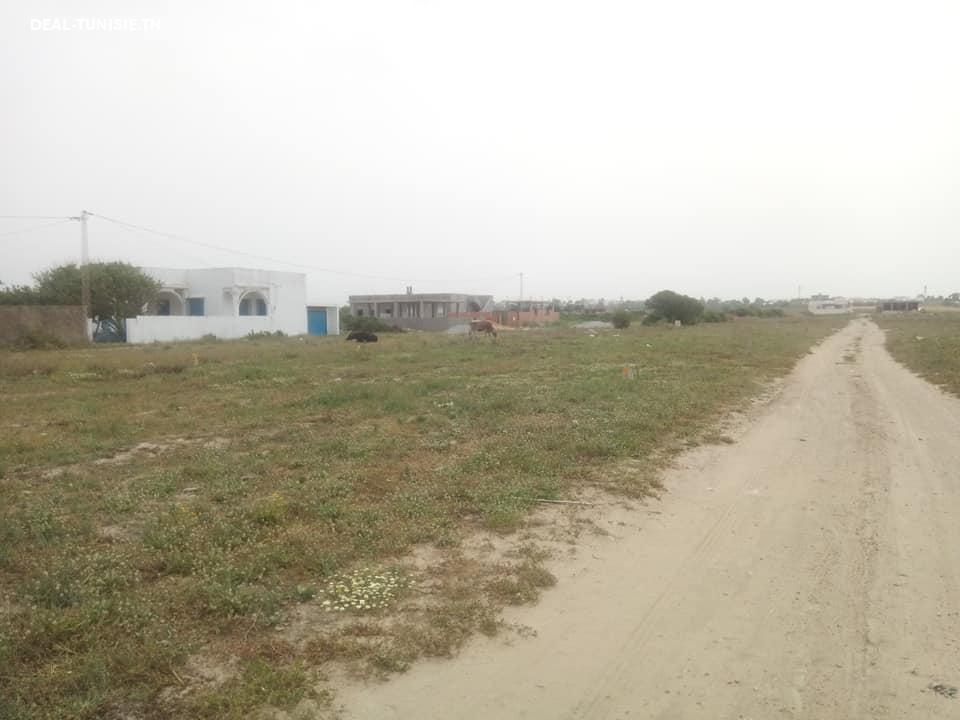 Image Annonce Deal-tunisie