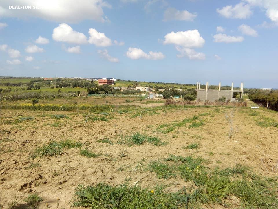 Image Annonce Deal-tunisie