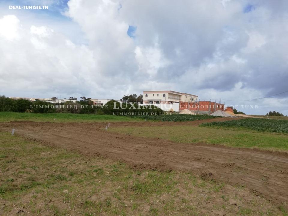 Image Annonce Deal-tunisie