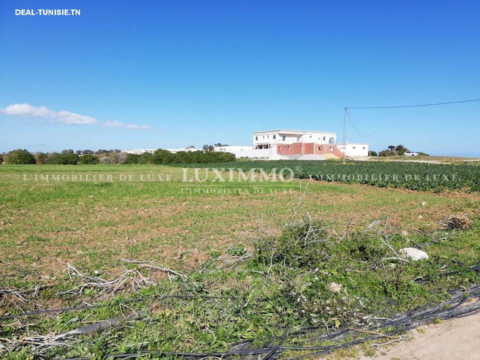 Image Annonce Deal-tunisie