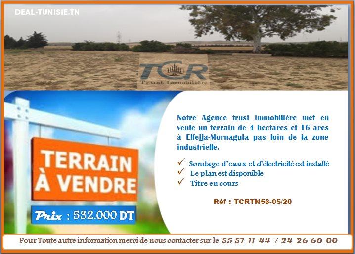 deal tunisie annonce