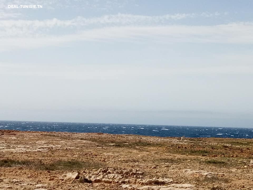 Image Annonce Deal-tunisie
