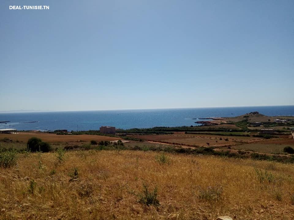 Image Annonce Deal-tunisie