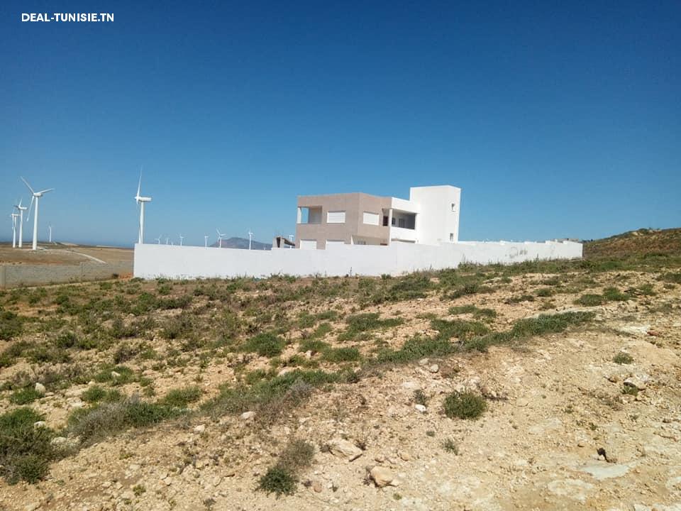 Image Annonce Deal-tunisie