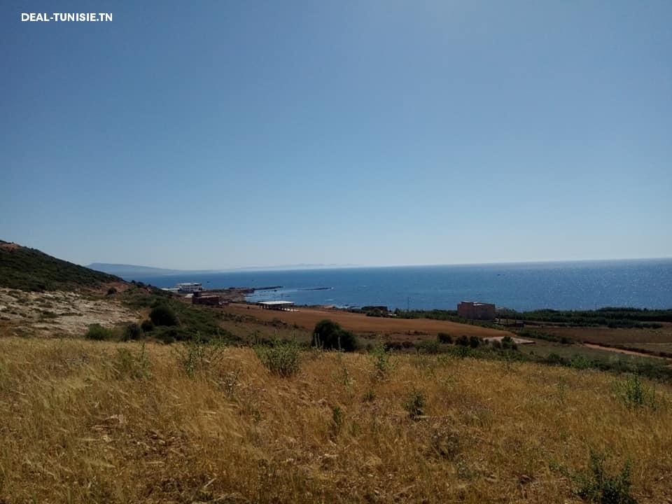 Image Annonce Deal-tunisie
