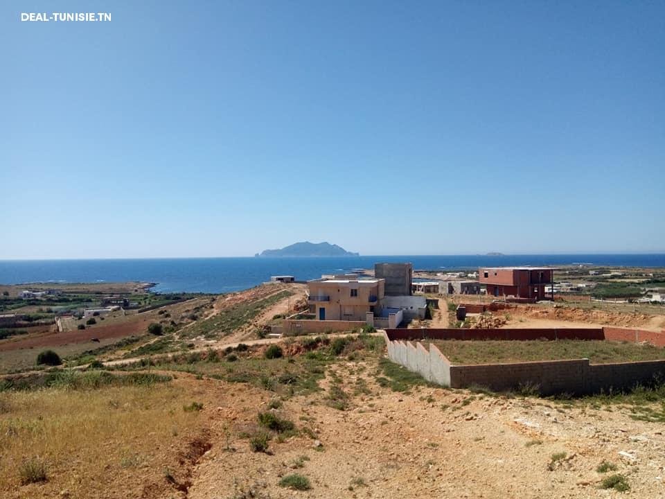 Image Annonce Deal-tunisie