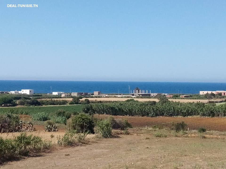 Image Annonce Deal-tunisie