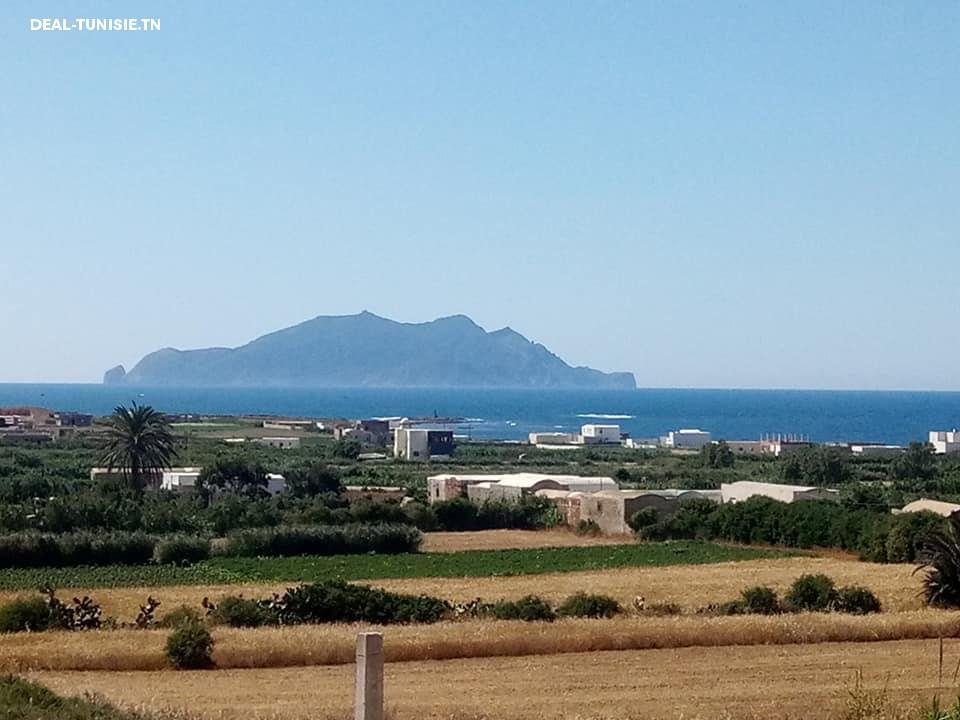 deal tunisie annonce