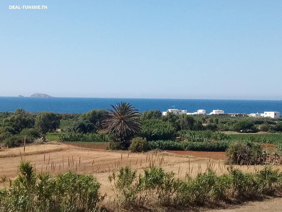 Image Annonce Deal-tunisie
