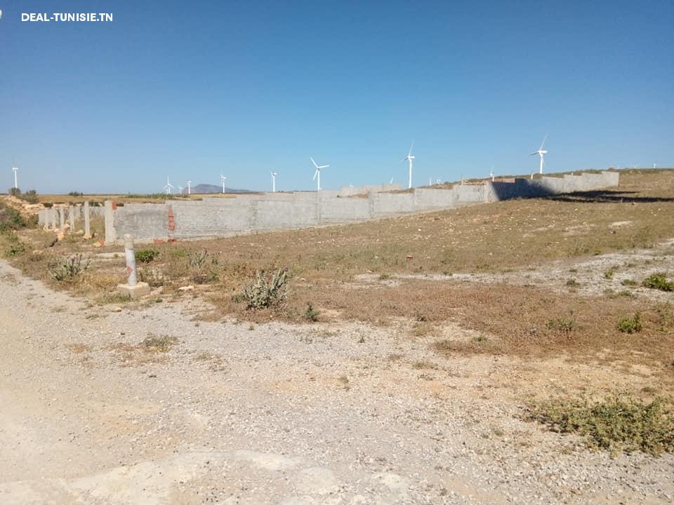 Image Annonce Deal-tunisie