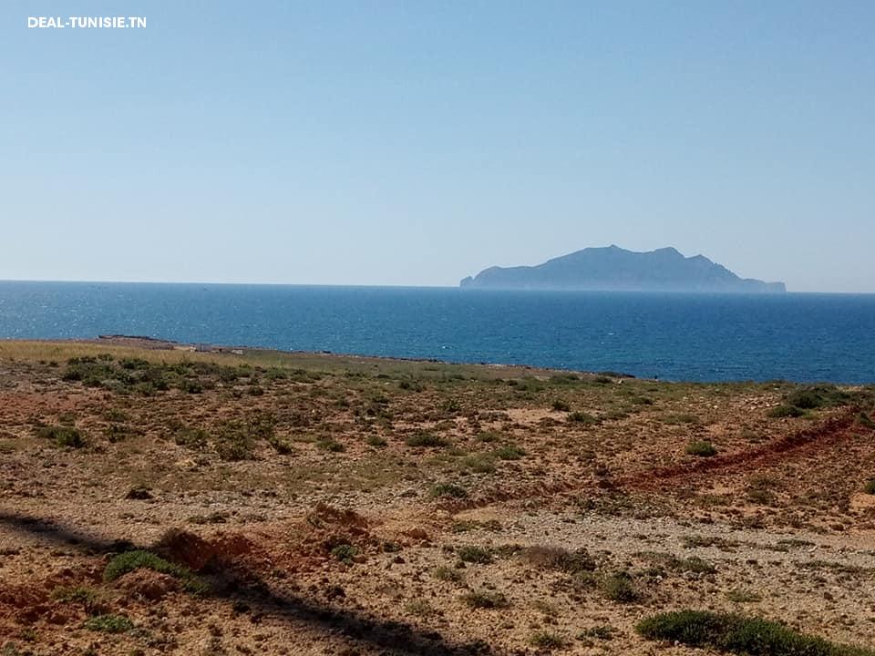 deal tunisie annonce