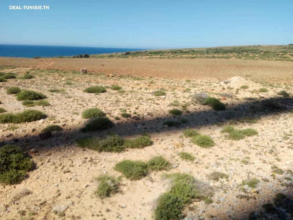 Image Annonce Deal-tunisie