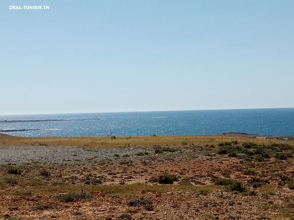 Image Annonce Deal-tunisie