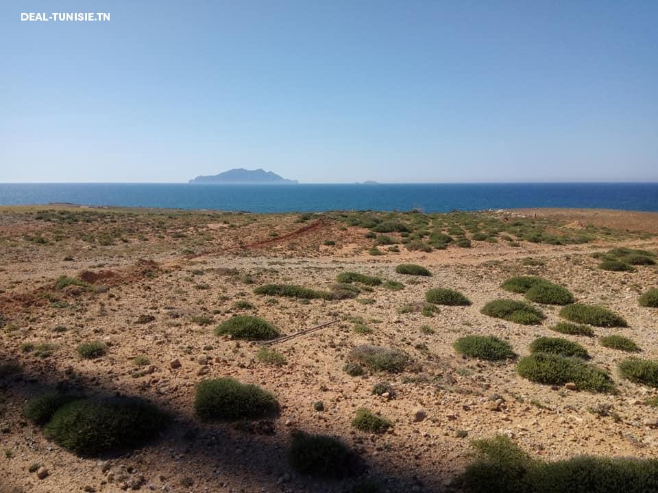 Image Annonce Deal-tunisie