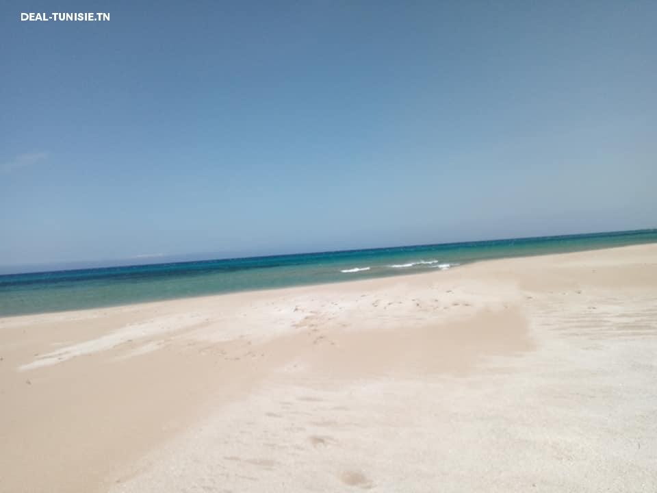 deal tunisie annonce