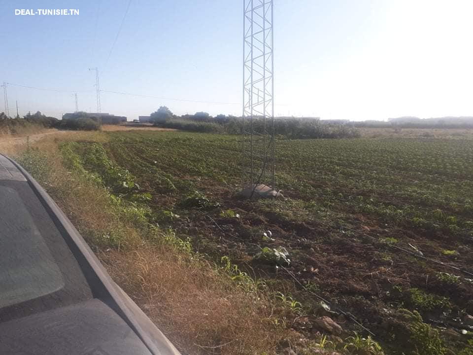 Image Annonce Deal-tunisie