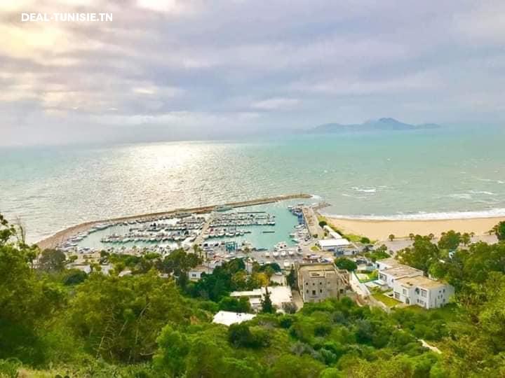 Image Annonce Deal-tunisie